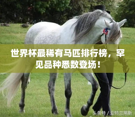 世界杯最稀有马匹排行榜，罕见品种悉数登场！