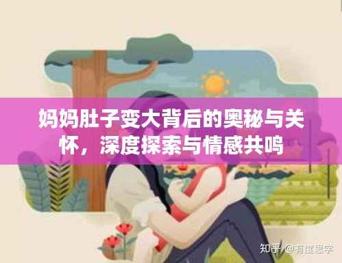 妈妈肚子变大背后的奥秘与关怀，深度探索与情感共鸣