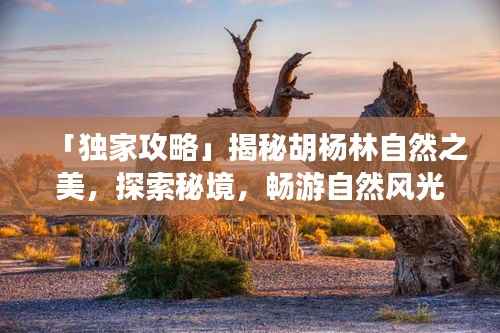 「独家攻略」揭秘胡杨林自然之美,探索秘境,畅游自然风光必备指南!