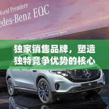 独家销售品牌，塑造独特竞争优势的核心驱动力