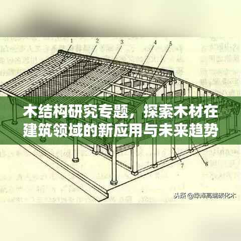 木结构研究专题,探索木材在建筑领域的新应用与未来趋势
