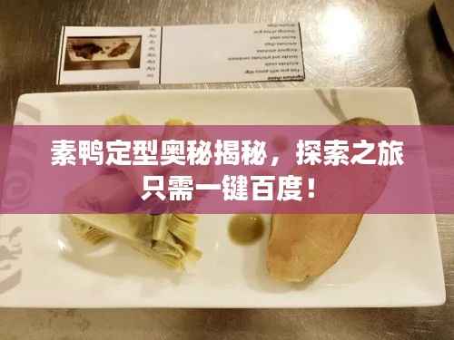 素鸭定型奥秘揭秘,探索之旅只需一键百度!