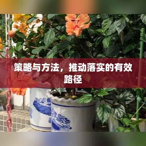 策略与方法，推动落实的有效路径