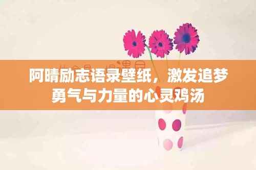 阿晴励志语录壁纸,激发追梦勇气与力量的心灵鸡汤