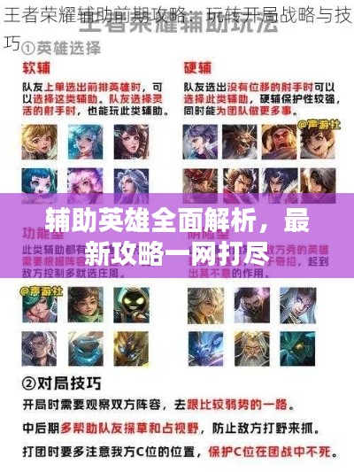 辅助英雄全面解析,最新攻略一网打尽
