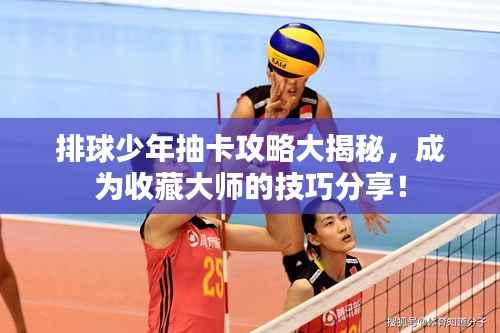 排球少年抽卡攻略大揭秘，成为收藏大师的技巧分享！