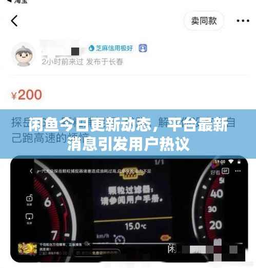 贵不期骄