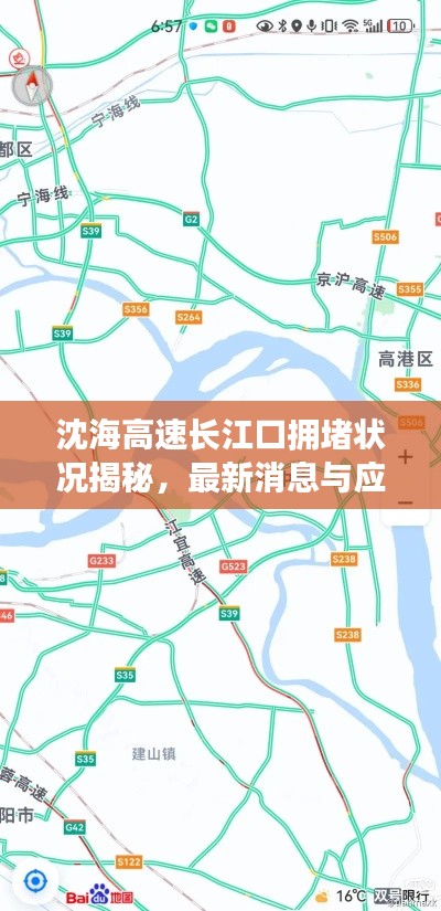 沈海高速长江口拥堵状况揭秘，最新消息与应对建议