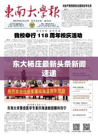 东大杨庄最新头条新闻速递