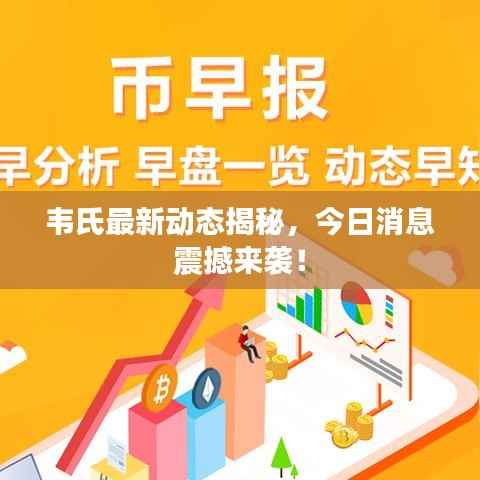 韦氏最新动态揭秘，今日消息震撼来袭！