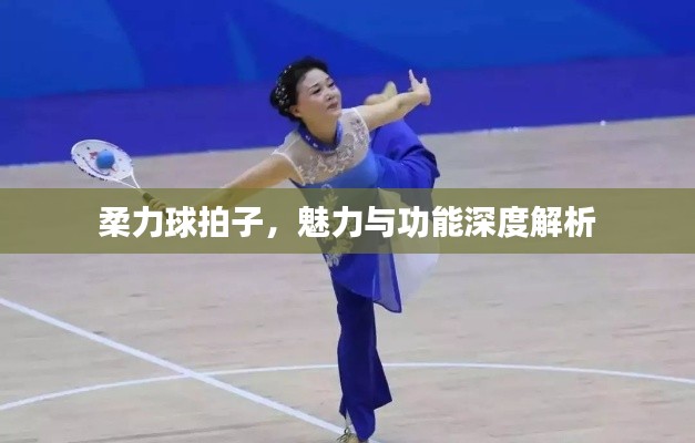 柔力球拍子，魅力与功能深度解析