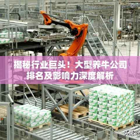 揭秘行业巨头！大型养牛公司排名及影响力深度解析