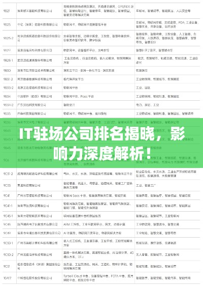 IT驻场公司排名揭晓，影响力深度解析！