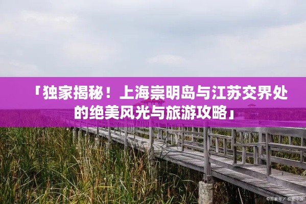 「独家揭秘!上海崇明岛与江苏交界处的绝美风光与旅游攻略」
