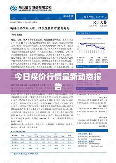 今日煤价行情最新动态报告