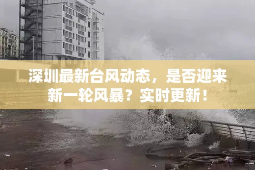 深圳最新台风动态,是否迎来新一轮风暴?实时更新!
