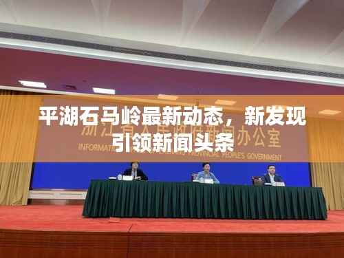 平湖石马岭最新动态，新发现引领新闻头条
