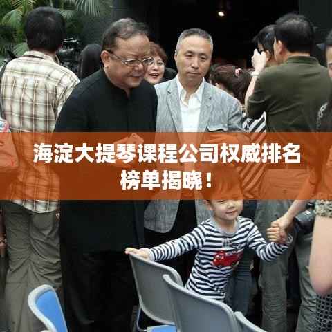 海淀大提琴课程公司权威排名榜单揭晓！