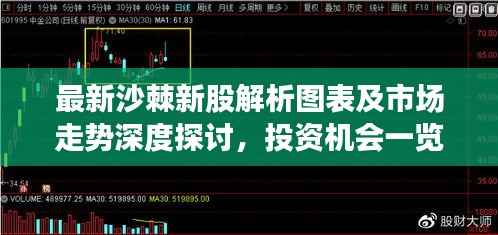 最新沙棘新股解析图表及市场走势深度探讨，投资机会一览