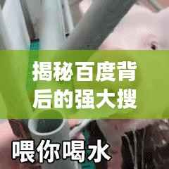 揭秘百度背后的强大搜索力量，探索搜索背后的力量