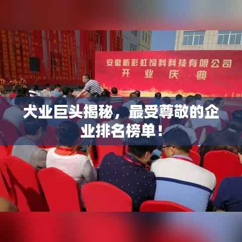 犬业巨头揭秘，最受尊敬的企业排名榜单！