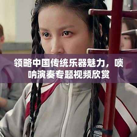 领略中国传统乐器魅力，唢呐演奏专题视频欣赏