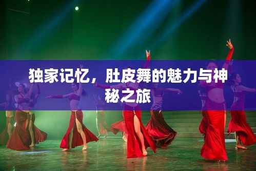 独家记忆,肚皮舞的魅力与神秘之旅