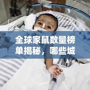 全球家鼠数量榜单揭秘，哪些城市家鼠数量最多？