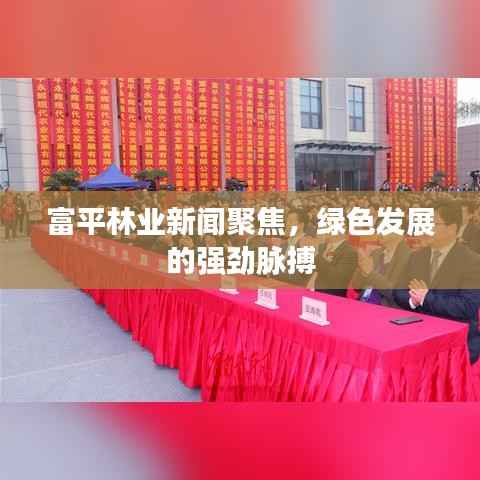 富平林业新闻聚焦,绿色发展的强劲脉搏