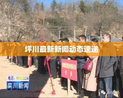 坪川最新新闻动态速递