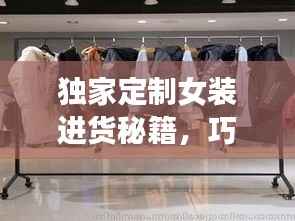 独家定制女装进货秘籍,巧妙策略大揭秘!