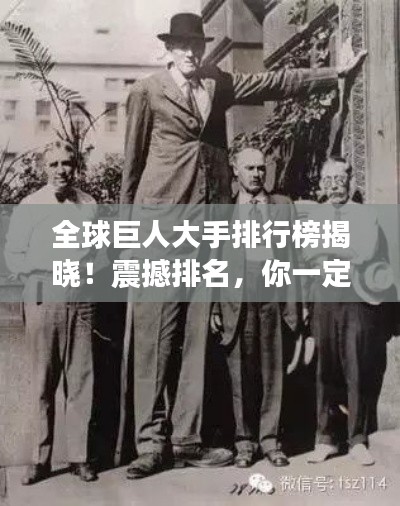 全球巨人大手排行榜揭晓!震撼排名,你一定不能错过!