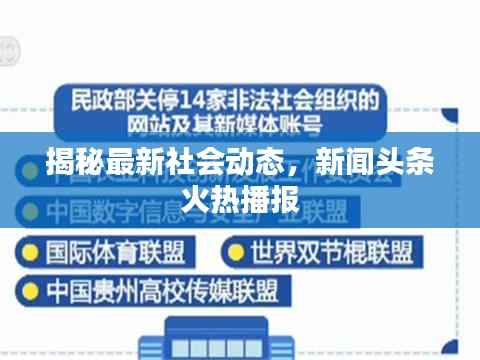 惊弦之鸟