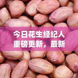 今日花生经纪人重磅更新,最新消息一览