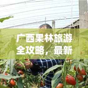 广西果林旅游全攻略,最新探索指南与美图欣赏