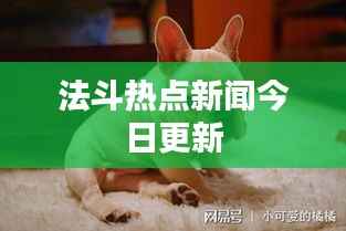 法斗热点新闻今日更新